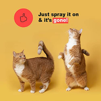 Enzyme professionnelle multi-usages pour éliminer les taches et les odeurs d'animaux domestiques (chats, chiens), action rapide, 32 oz, éliminateur de taches et d'urine d'animaux