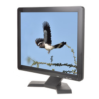 Monitor CCTV LED TFT de 17 Pulgadas, Cuadrado, con Conexión BNC, Precio de Fábrica