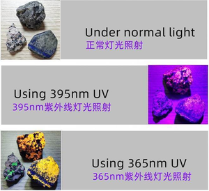 Lámpara <span class=keywords><strong>Forense</strong></span> de 365nm, Linterna UV, <span class=keywords><strong>Luz</strong></span> Negra <span class=keywords><strong>Ultravioleta</strong></span>, Linterna LED UV Recargable - Product Image 6