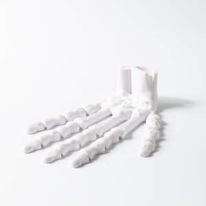 Thiết kế phổ biến <span class=keywords><strong>3D</strong></span> in xương sọ Đồ chơi thú vị dịch vụ tạo mẫu nhanh cho sinh viên - Product Image 3