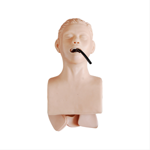 Simulateur d'ecg d'enseignement médical ADA et modèle d'intubation de trachée humaine pour l'outil d'enseignement médical de démonstration de maladie - Product Image 2