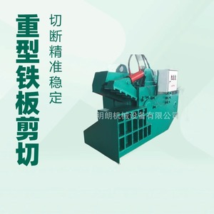 6000 kg/h - Product Image 4