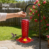 Mangeoire à colibris pour l'extérieur, mangeoire à oiseaux suspendue en verre avec 6 ports d'alimentation, mangeoire à néectar anti-fuite pour jardin, cour, terrasse