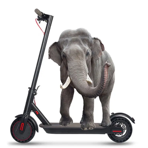 Monopattino Elettrico Economico 2023 a 2 Ruote 500W 1000W Potente e Veloce per Adulti con Batteria Rimovibile - Product Image 1