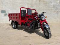 Camión Volquete Motorizado de 5 Ruedas con Carrocería Abierta CHL, Certificado EEC, 300cc, 55-70km/h, Alta Capacidad de Carga