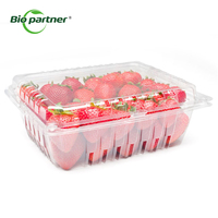 Contenedor de Plástico PET Transparente Desechable para Empaque de Frutas como Arándanos y Frambuesas, Tipo Blister con Tapa Abatible, Venta al Por Mayor