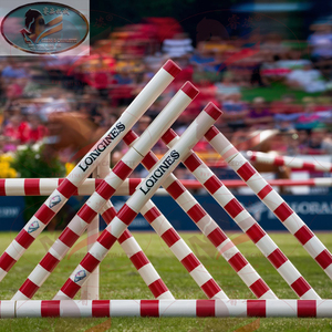 Light Weight Horse <strong>Aluminum</strong> Poles for <strong>Show</strong> <strong>Jumps</strong> - Product Image 6