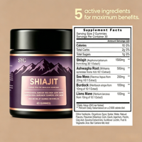 Gummies de Shilajit Naturel OEM : Soutien Immunitaire et Énergie Instantanée – Complexe Ashwagandha et Mousse de Mer, Pastèque, Haute Puissance, Vrac