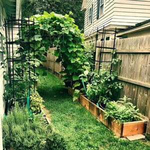 Khung Cọc Hỗ Trợ Cây Trồng Trong Vườn Bằng Kim Loại Cho Cà Chua Dưa Chuột Hạt Đậu Trái Cây Lưới Mắt Cáo Leo Cây - Product Image 3