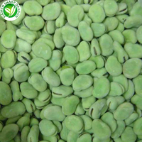 XMSD IQF GMO Haricots épluchés surgelés de qualité A
