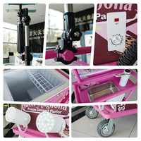 Chariot à glace électrique Prosky à 3 roues, camion de restauration rapide, cuisine mobile, camion à café, chariot à hot-dogs, tricycle à glace