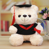 En gros Ours en peluche de graduation 25CM/10 pouces, Ours doctorant, Jouet animal en peluche, Jouet anti-stress, Cadeau personnalisable