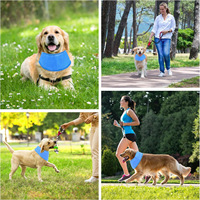 Bandana Rafraîchissant pour Animaux Prêt à Expédier – Écharpe de Cou PVA pour Soulager la Chaleur Estivale pour Chiens et Chats – Accessoire Rafraîchissant pour Animaux d'Extérieur