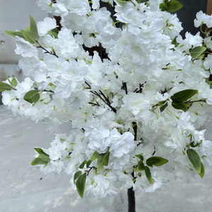 Bán Buôn Cao Mô Phỏng Trắng Lụa Hoa Anh Đào Cây Cây Trong Nồi Có Nhu Cầu Cây Trong Nhà Cho Vườn Văn Phòng Bên Đám Cưới Khách Sạn - Product Image 5