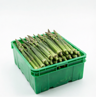 Caisse de transport en plastique ondulé jetable en PP écologique pour l'agriculture, pliable, pour légumes