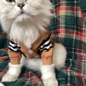 Kunden spezifische Großhandel Luxus Teddy Marke Mode niedlichen Strick Cardigan Haustier Kleidung Hund Pullover für kleinen Hund - Product Image 5