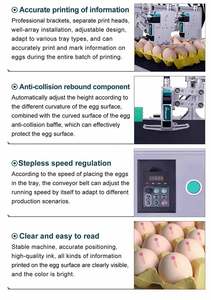 Tự động trứng máy in phun logo thời hạn sử dụng hàng loạt Số Mã Vạch gà gà trứng khay mã hóa đánh dấu máy không Laser - Product Image 4