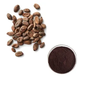 Экстракт семян какао, порошок, полифенолы какао