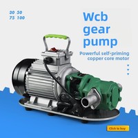 Moteur auto-amorçant en alliage de fer et d'aluminium avec bobinage en cuivre, portable, avec poignée, antichoc, à forte puissance de sortie
