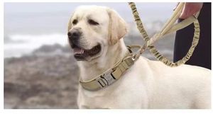 Nilon Solid dapat disesuaikan OEM & ODM kalung anjing & kucing Harness dapat disesuaikan dan mudah dipakai kerah hewan peliharaan - Product Image 5