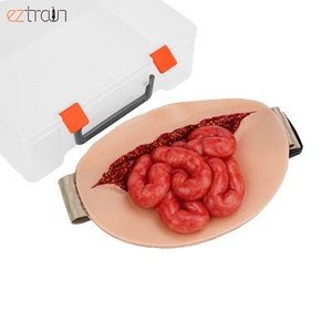 Simulador de Evisceración Abdominal Portátil con Simulador de Intestino <span class=keywords><strong>y</strong></span> Entrenador de Aplicación de Pansamentos para Ciencias Médicas - Product Image 4