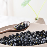 Haricots noirs biologiques séchés de qualité supérieure avec germe vert, non-OGM, pour la cuisine et la germination, vente en gros
