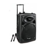 Altavoz de karaoke de 8 pulgadas de alta calidad con carrito de exhibición de fábrica