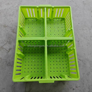 ตะกร้าไก่เด็กพลาสติก กล่องขนส่งไก่ จัดส่ง ตะกร้าไก่ PP อายุ 1 วัน ขาย กล่องหมุนเวียน 4 ฉากกั้น - Product Image 6