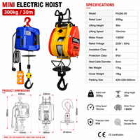 Mini treuil de levage portable puissant King, capacité 300 kg, câble 30 m, télécommande sans fil, petit palan suspendu pour la rénovation d'entrepôts