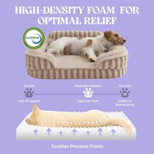 Washable Cat <b>Beds</b> for Indoor Cats, Pet <b>Sofa</b> with Removable Cushion, Rectangle Bolster Kitten <b>Bed</b> with Anti-Slip Bottom - Product Image 3