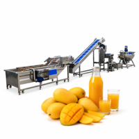 Complete fruit sap productielijn |   Automatische sapmachine voor de verwerking van vers fruit
