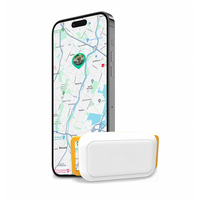 Traceur GPS 4G GPRS Bluetooth pour animaux de compagnie, anti-perte, couverture mondiale, suivi de la trajectoire historique en temps réel, étanche IPX6