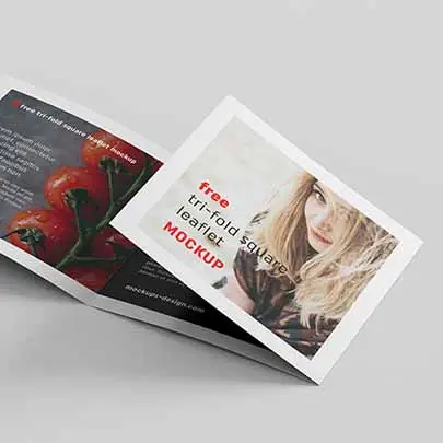 Tùy chỉnh Brochure tập sách hướng dẫn hướng dẫn sử dụng tờ rơi folleto plegable in ấn cao cấp giấy Logo in ấn gấp Flyer danh mục