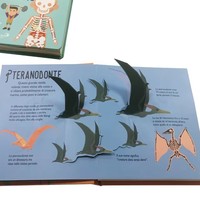 Libros Ilustrados de Ciencia Popular, Impresión Personalizada, Encuadernación Perfecta, Tapa Dura, Papel Recubierto de Cartón para la Educación Infantil