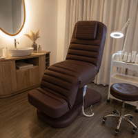 Lit de massage électrique réglable de luxe moderne en cuir PU avec base métallique pour salons de beauté et spas