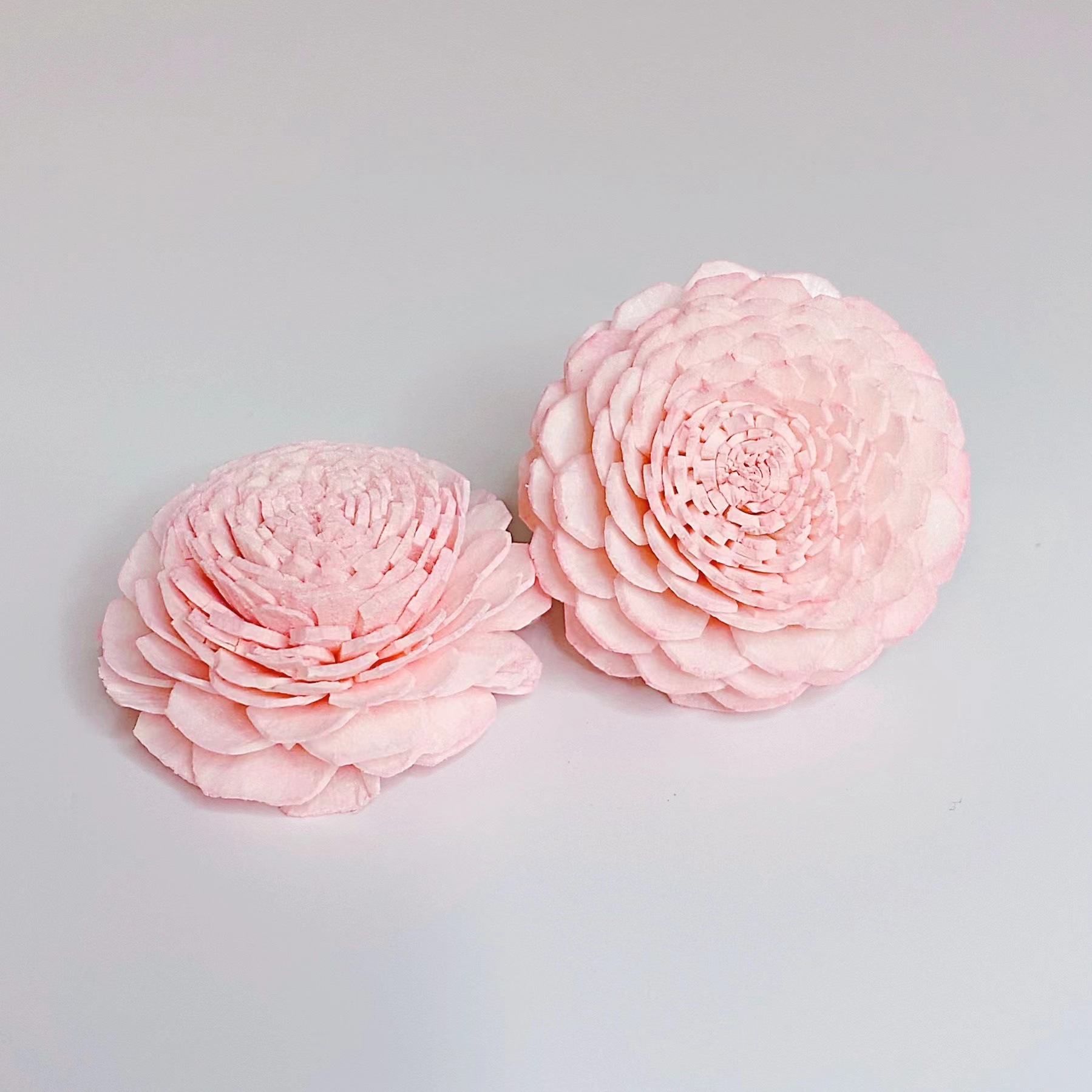 4,5 cm rose d'eau