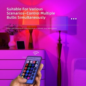 Ampoule LED arc-en-ciel à économie d'énergie, culot E27, ampoule sphérique, ampoule d'ambiance colorée RGB pour la maison, télécommande - Product Image 2