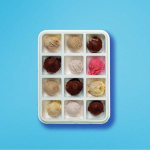 PASQUALINA 1000 - 12 Scomparti - Contenitore per Gelato - Product Image 1