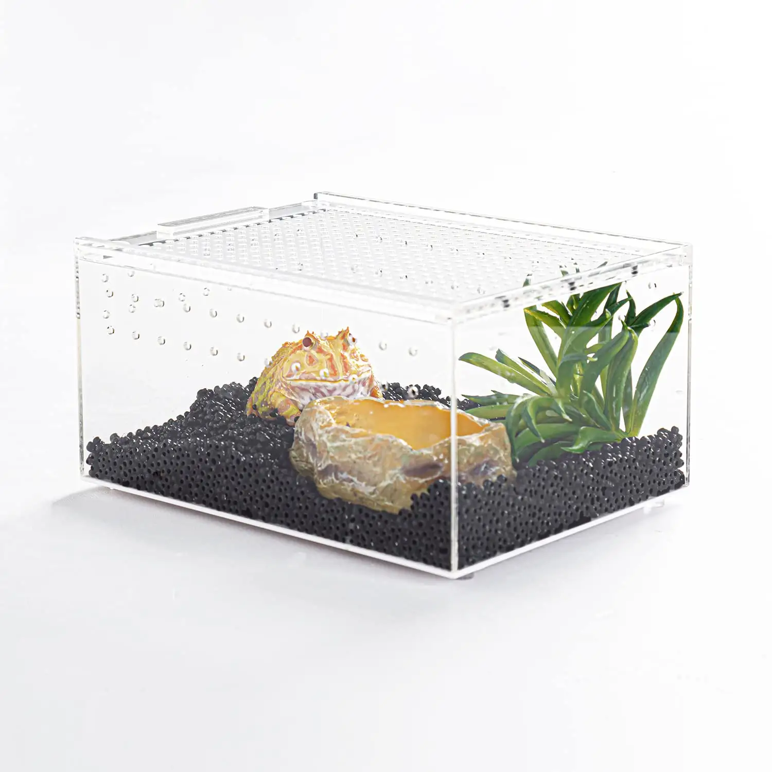 Magnetisches Acryl-Reptil Terrarium Tarantula-Überstellungen Fütterungsbox Reptilien-Züchterkasten