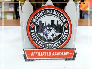 Prix d'usine Insigne brodé 3D en vrac Logo personnalisé Transfert de chaleur dans le cuir Tissu - Product Image 5