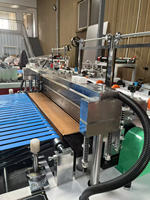 Sac de poulet congelé 350x2 faisant la machine Ligne de production de sac de congélateur industriel incurvé à double ligne à grande vitesse Sacs de volaille