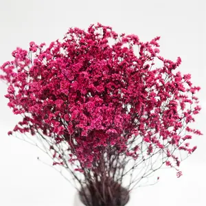 Factory Supplier RG-121 Preserved Flower Dried Sea Lavender Flower Limonium Dry Crystal Grass for Decoration