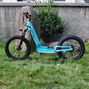 Manufacturer Price Ship Directly 1000W Electric Scooters