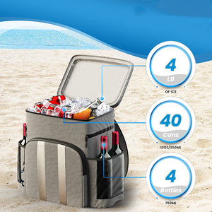 Mochila enfriadora portátil suave grande personalizada con Win VBag refrigerada aislada impermeable recargable bolsa enfriadora plegable - Product Image 5