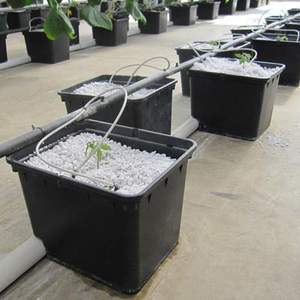 Quadrato nero di Plastica Bato Benna Olandese per Giardinaggio Serra Idroponica Sistema di Irrigazione - Product Image 4