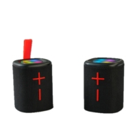 Altavoz Inalámbrico TWS con Emparejamiento Magnético 2 en 1, Resistente al Agua IPX6, Portátil, con Luces RGB