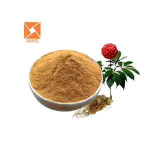 Panax notoginseng saponinas pseudo-ginseng extracto Panax notoginseng polvo