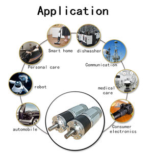 Fabrieksgecustomizeerde 36mm 6V 12V 24V 100RPM 200RPM 300RPM planetaire borstel DC tandwielmotor 24V - Product Image 6