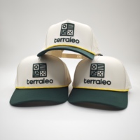 Gorra de Béisbol Deportiva Ajustable e Impermeable, Bordado 3D, Bordado a Mano, Diseño Dobby, Argyle, Puntos, Leopardo, Cierre a Presión, Personalizable