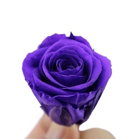 Vente en gros de roses naturelles de 2 à 3 cm, immortelles pour toujours, éternelles et préservées pour les occasions de Noël, du Nouvel An chinois et de la Saint-Valentin